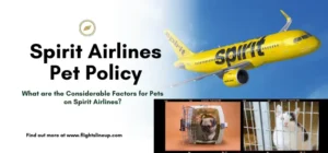 Spirit Airlines Pet Policy